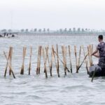 pembongkaran pagar laut di tangerang