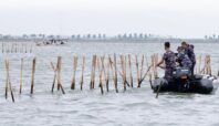 pembongkaran pagar laut di tangerang