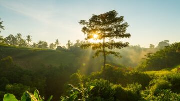 musim kemarau di indonesia