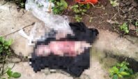 mayat bayi terbungkus plastik di Pondok Aren