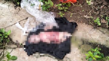 mayat bayi terbungkus plastik di Pondok Aren