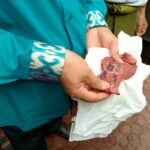 Terdapat tulisan nama pemberi korban dalam paru-paru sapi di Tangsel. Foto: ist