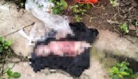 pembuang mayat bayi di pondok aren