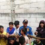 Damkar Tangsel evakuasi ular