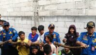 Damkar Tangsel evakuasi ular