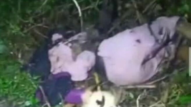 Penemuan mayat wanita di Cisauk Tangsel