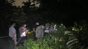 pelaku pembunuhan mayat wanita di Cisauk