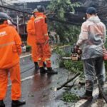 Pohon tumbang akibat hujan deras di Tangsel