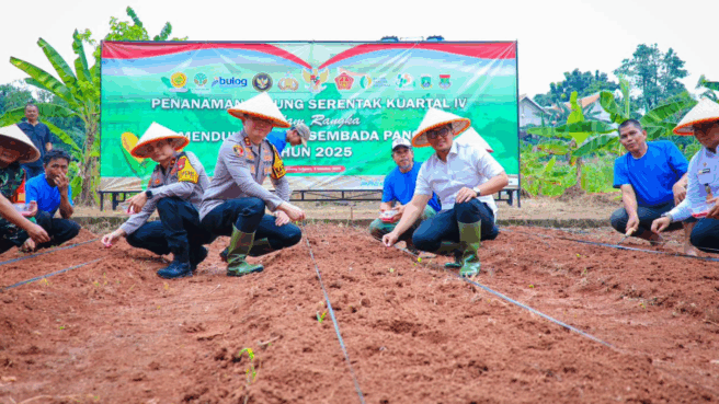 Kegiatan Tanam Jagung Serentak Kuartal 4