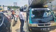 parkir liar