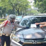 parkir liar