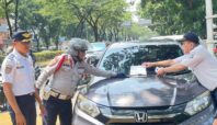 parkir liar