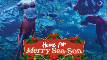 Liburan Natal di BXSEA Bintaro