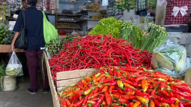 harga cabai