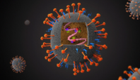 virus nipah
