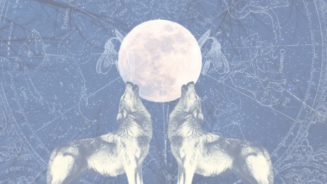 supermoon wolf moon