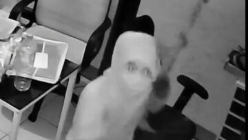 toko laptop di ciputat